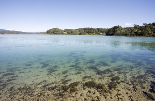 Victoria's Hopkins River provides some good sport fishing options for loclas in the know. Image: Tim Vincent